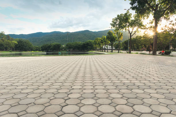 Best Professional Driveway Pavers  in Welch, WV
